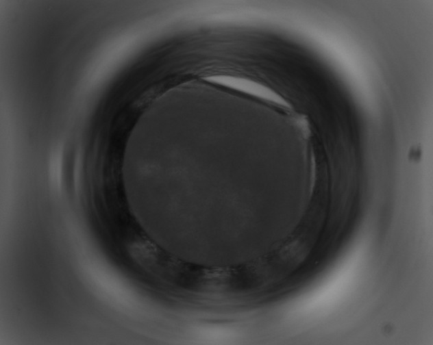 X0000102830382200809081201