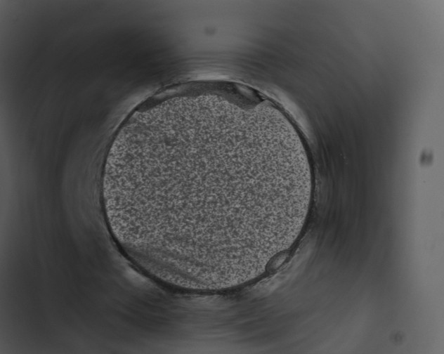X0000102830385200809081201