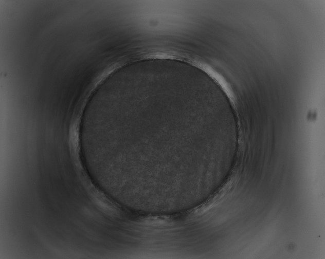 X0000102830386200809081201