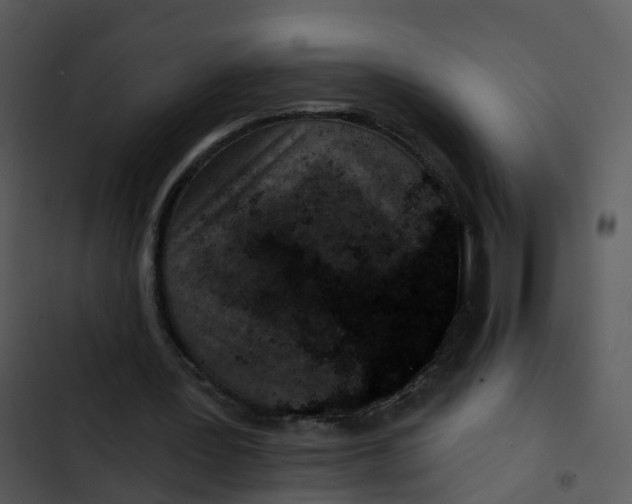 X0000102830387200809081201