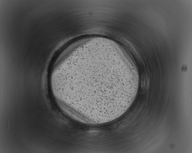 X0000102830388200809081200