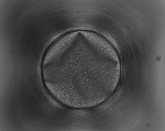 X0000102830389200809081200