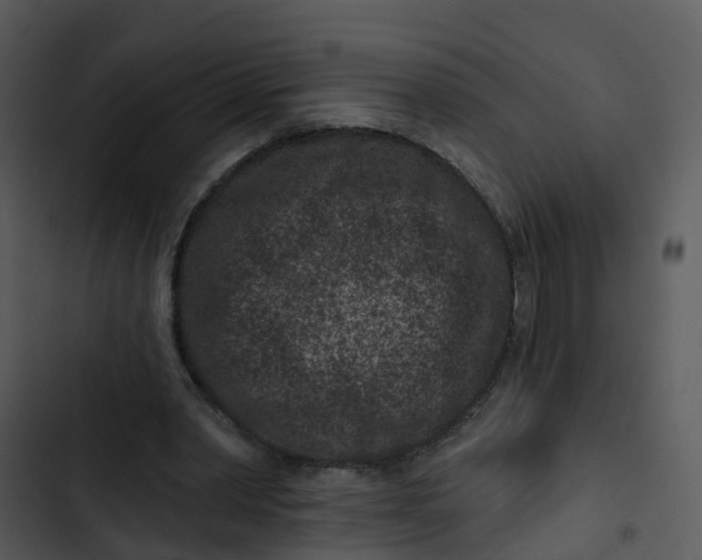 X0000102830390200809081200