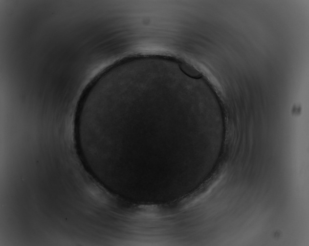 X0000102830391200809081200