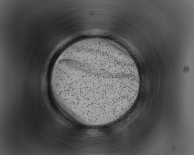 X0000102830392200809081200