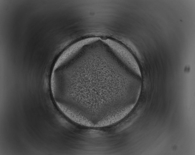 X0000102830393200809081200