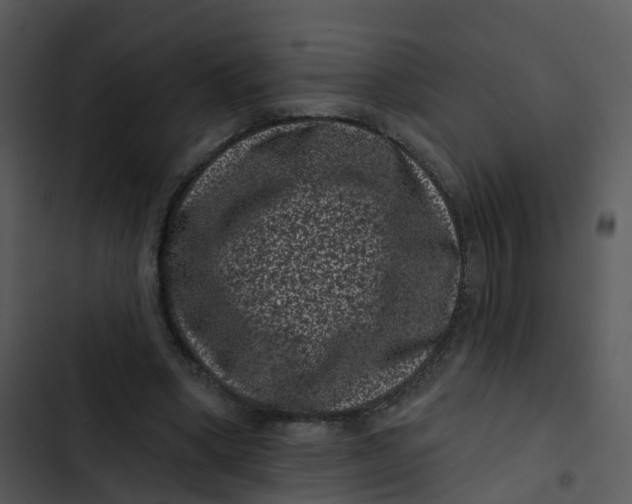 X0000102830394200809081200