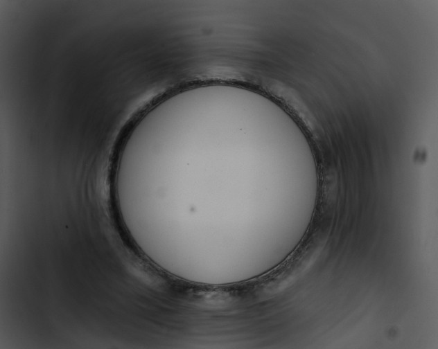 X0000102830395200809081200