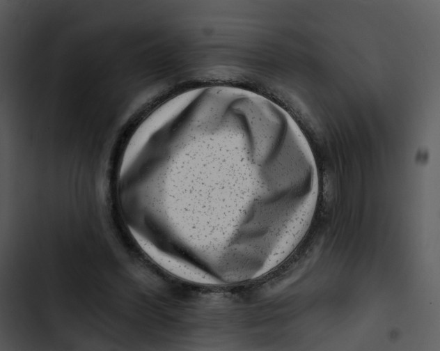 X0000102830396200809081200