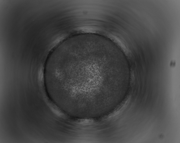 X0000102830398200809081200