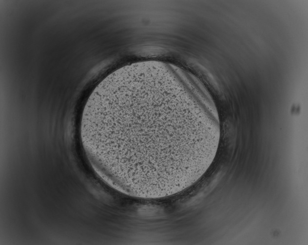 X0000102830400200809081200
