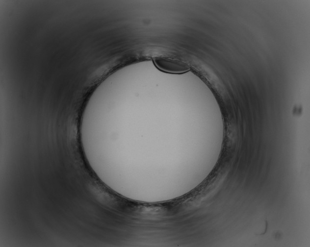 X0000102830401200809081200