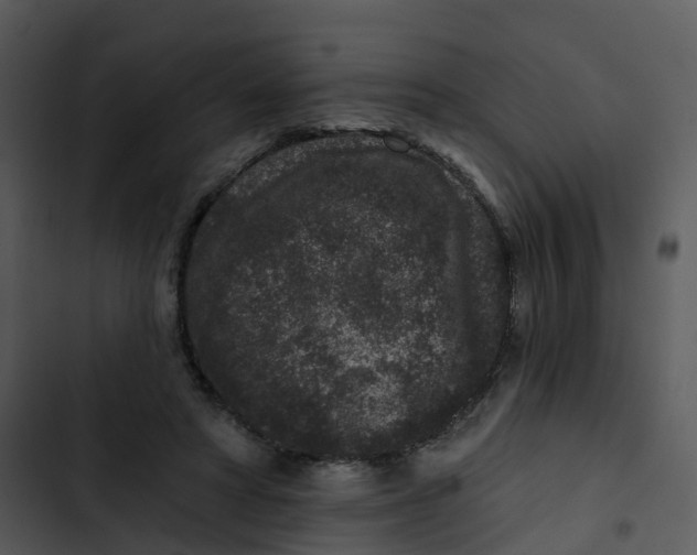 X0000102830402200809081200