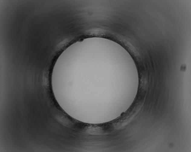 X0000102830403200809081200
