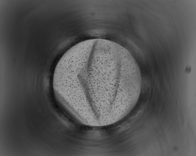 X0000102830404200809081200