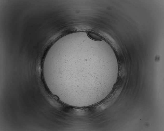 X0000102830405200809081200