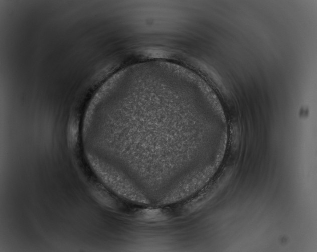 X0000102830406200809081200