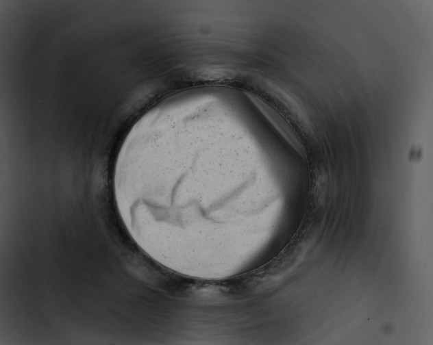 X0000102830407200809081200