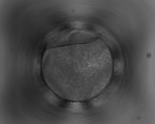 X0000102830409200809081200