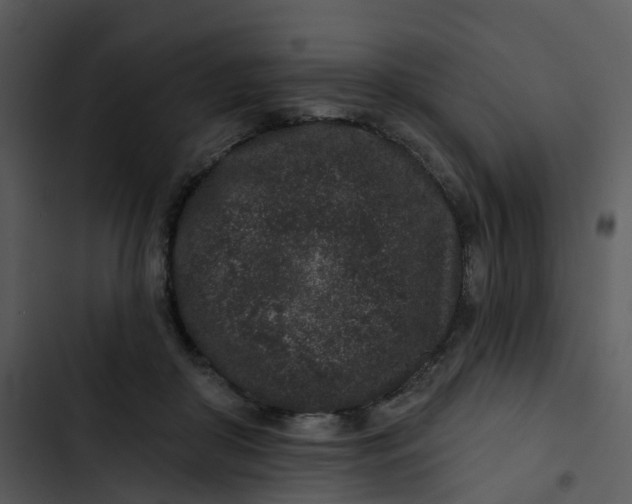 X0000102830410200809081200