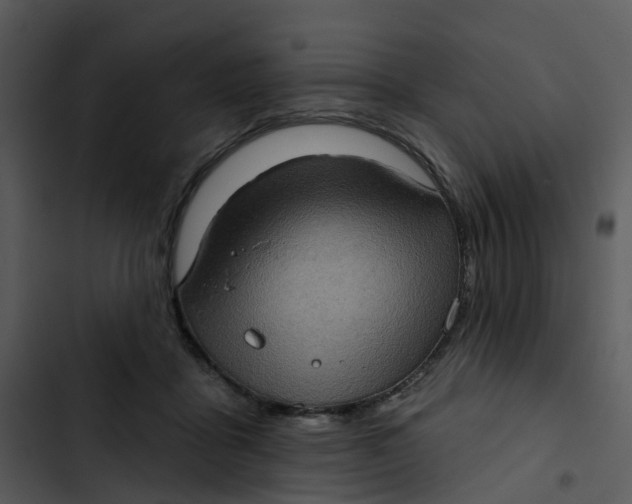 X0000102830411200809081200