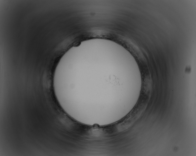 X0000102830413200809081200
