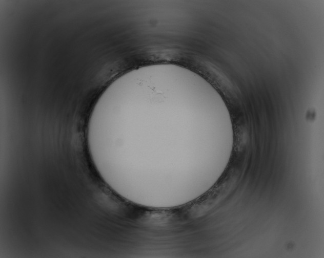 X0000102830414200809081200