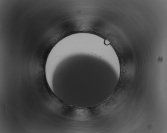 X0000102830415200809081200