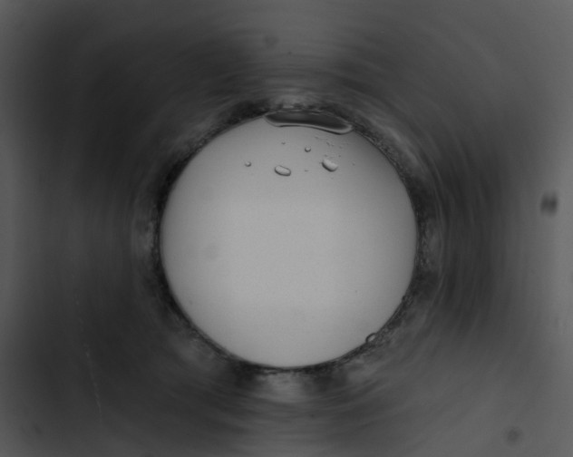 X0000102830417200809081200