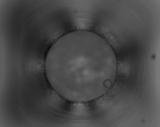 X0000102830419200809081200