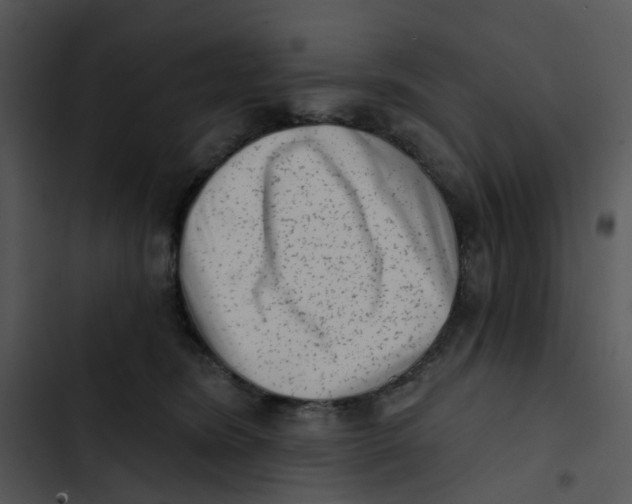 X0000102830420200809081200