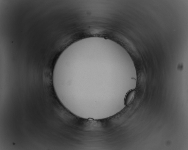 X0000102830421200809081200