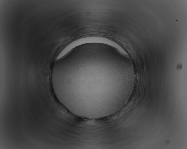X0000102830423200809081200
