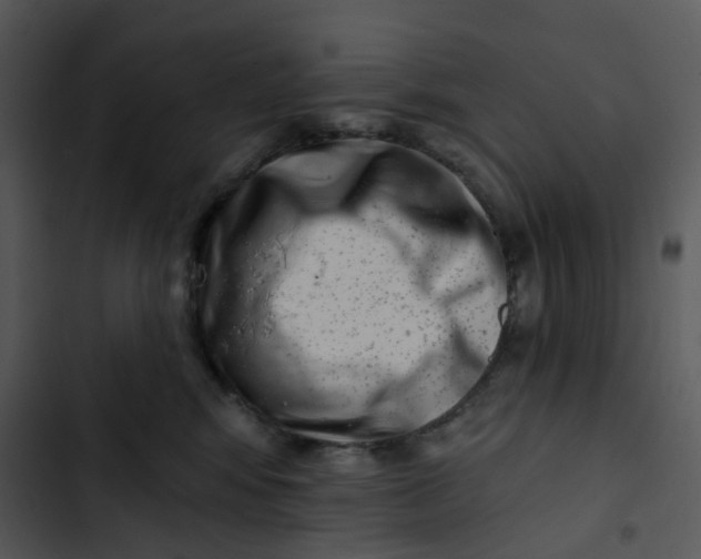 X0000102830424200809081200