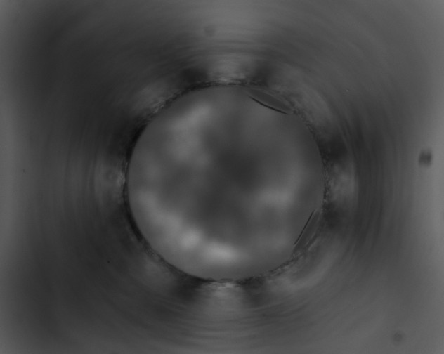 X0000102830427200809081200