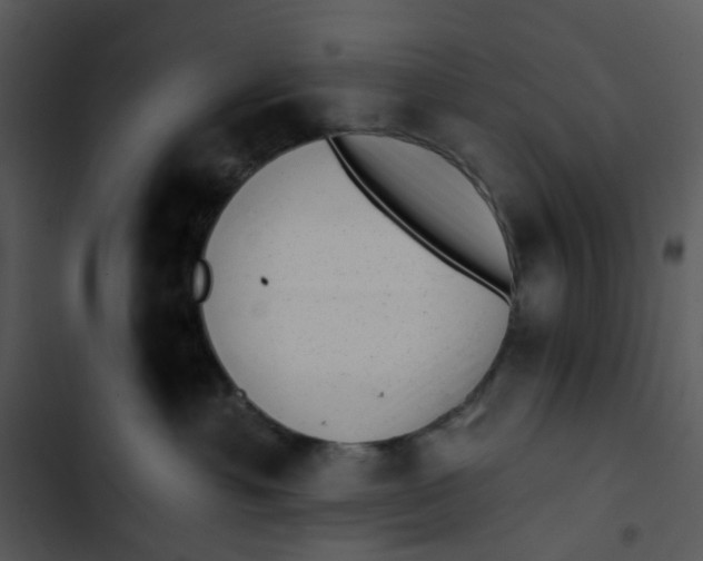X0000102830429200809081200