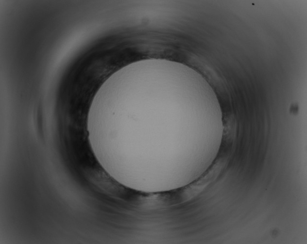 X0000102830430200809081200