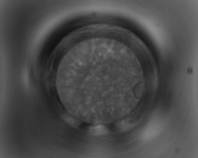 X0000102830431200809081200