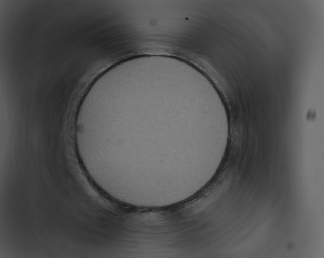 X0000102830433200809081159