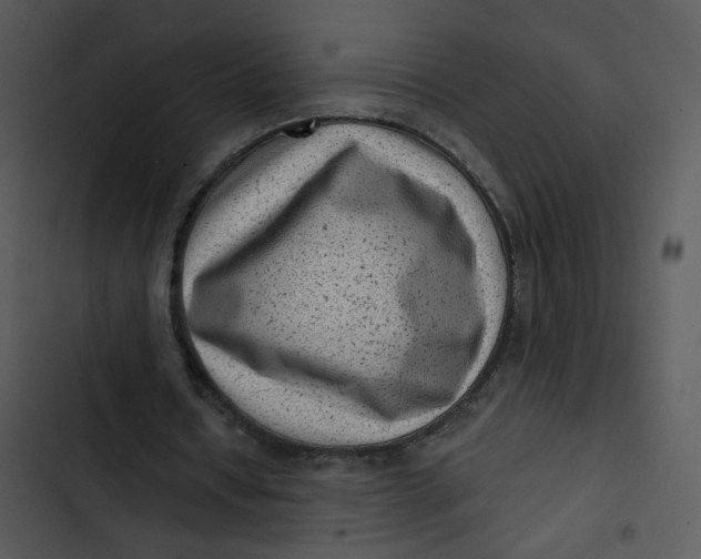 X0000102830434200809081159