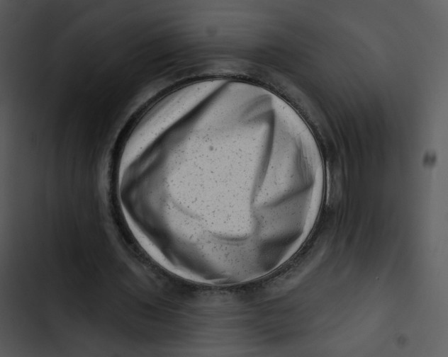X0000102830435200809081159