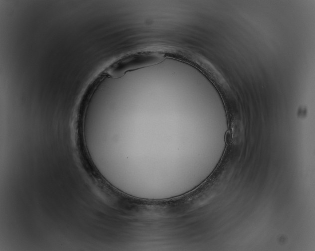 X0000102830436200809081159