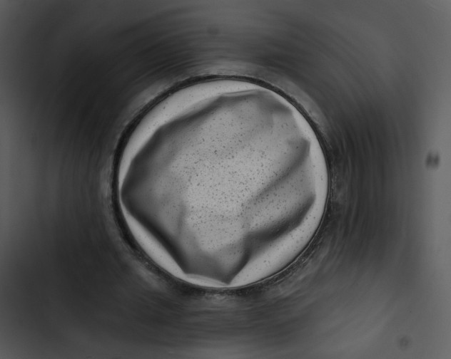 X0000102830437200809081159
