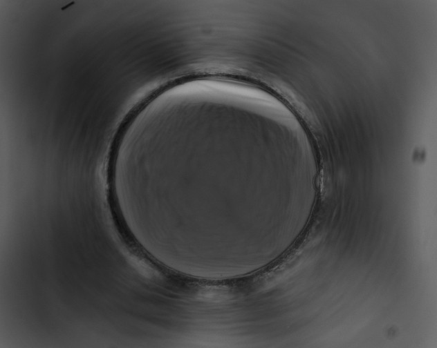 X0000102830438200809081159