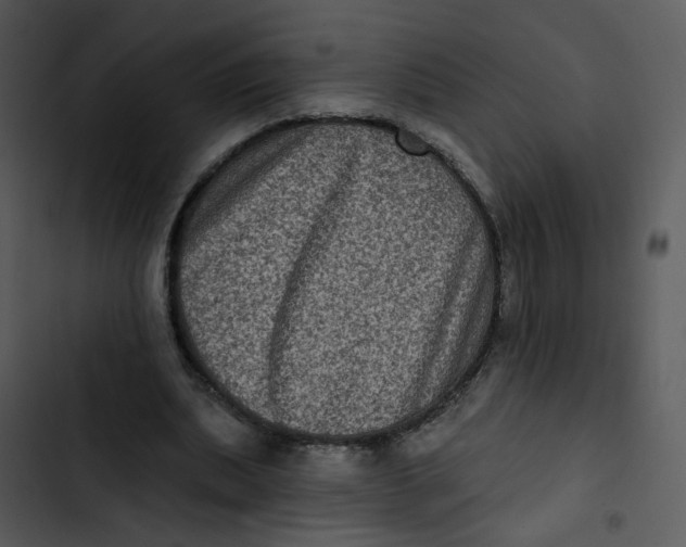 X0000102830439200809081159