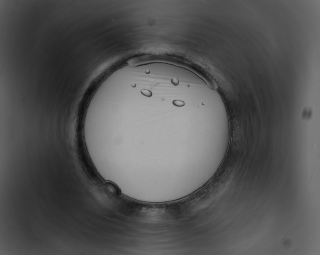 X0000102830440200809081159