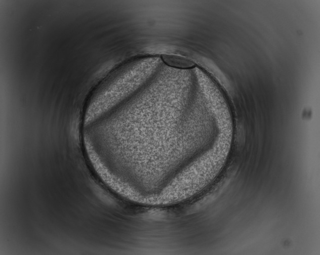X0000102830441200809081159