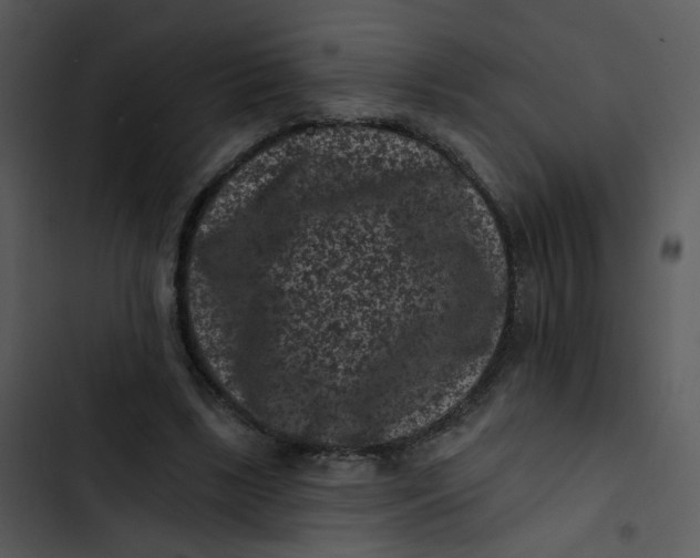 X0000102830443200809081159