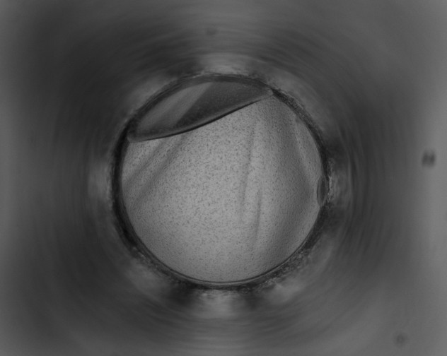 X0000102830444200809081159