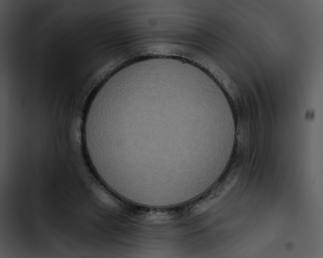 X0000102830445200809081159